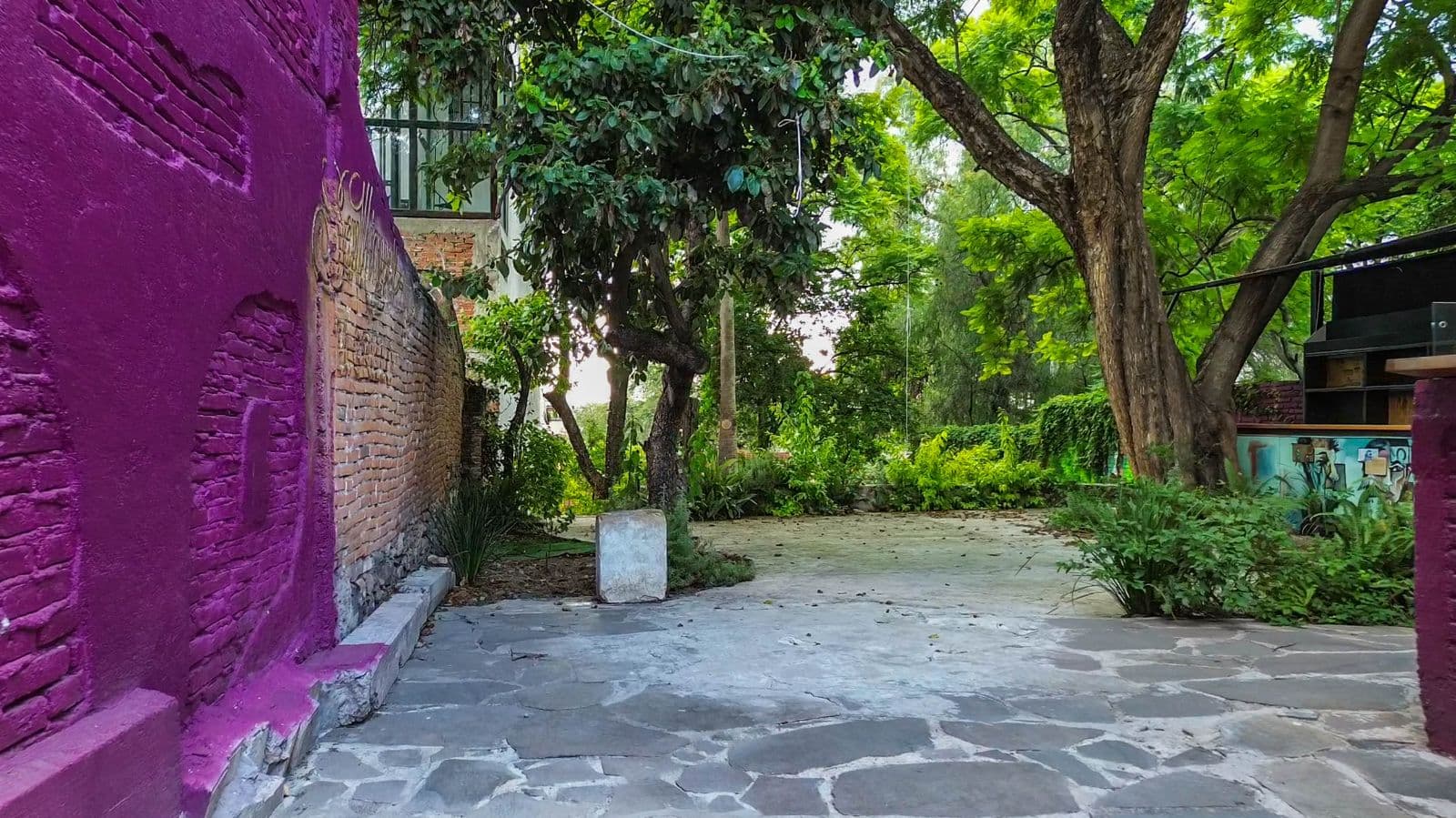 TERRENO HIDALGO — Centro, San Miguel de Allende — photo 2 — vibrant courtyard, mature shade trees, authentic charm