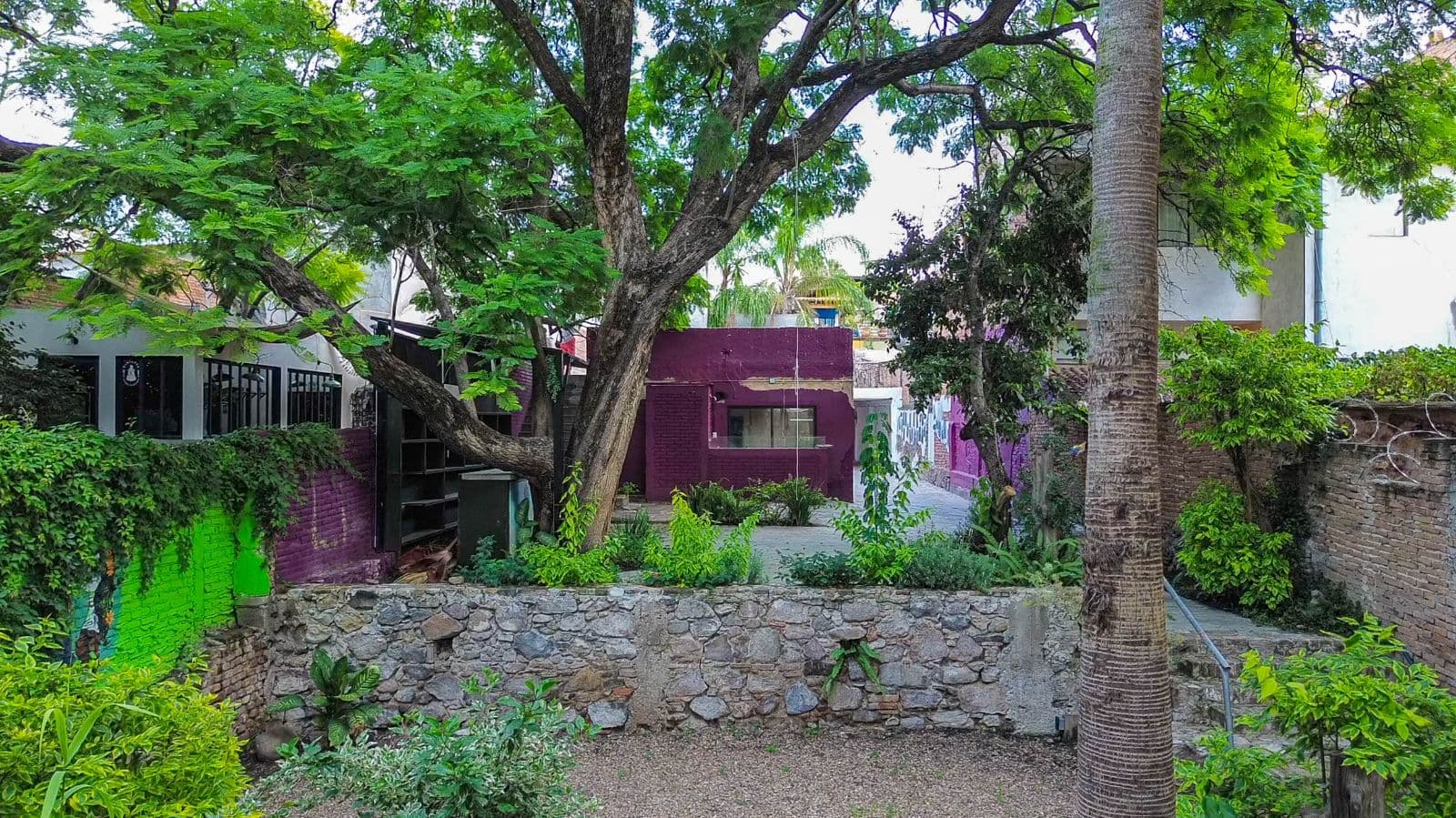 TERRENO HIDALGO — Centro, San Miguel de Allende — photo 6 — lush courtyard with mature shade trees