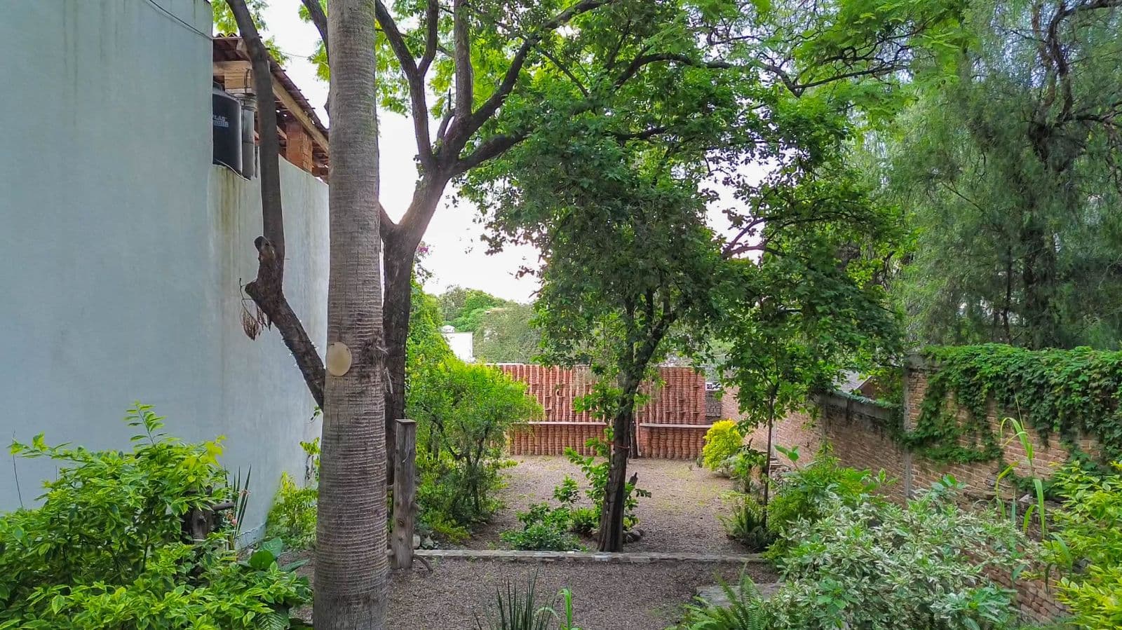 TERRENO HIDALGO — Centro, San Miguel de Allende — photo 4 — verdant courtyard, mature trees, tranquil views