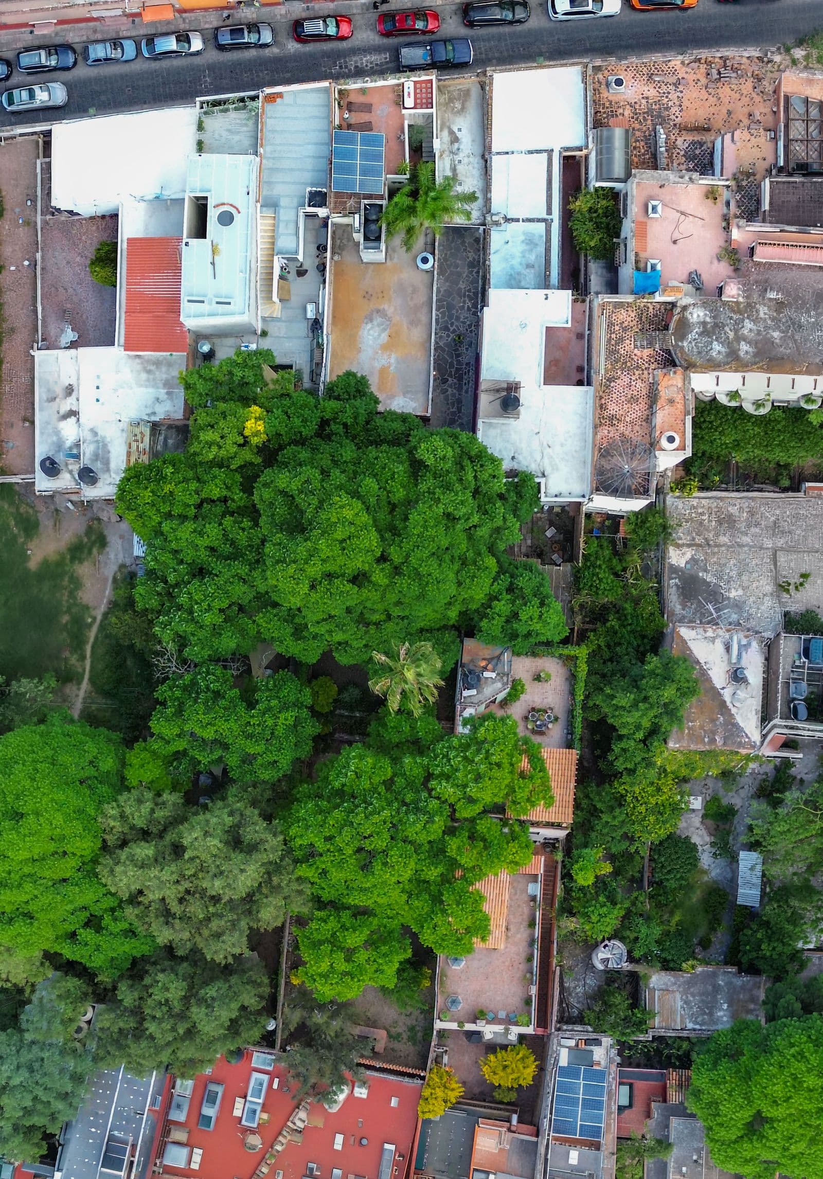 TERRENO HIDALGO — Centro, San Miguel de Allende — photo 10 — lush garden oasis, charming colonial architecture