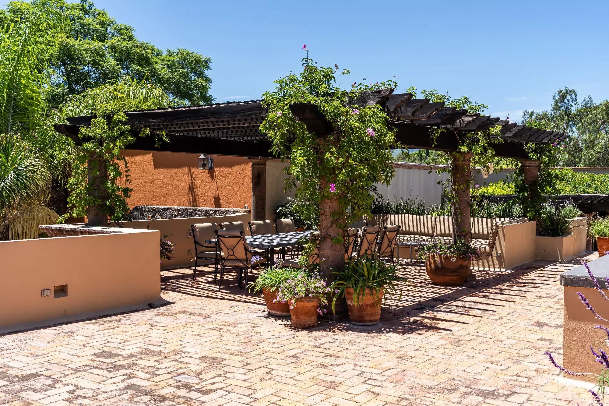 Casa Encantada — Centro, San Miguel de Allende — photo 24 — enchanting courtyard with climbing vines