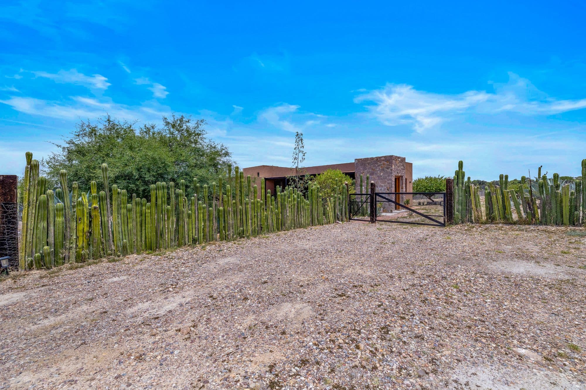 Villa Jacaranda - Architectural Country Living Near San Miguel — Capadero (San Isidro Capadero), San Miguel de Allende — photo 2 — rustic hacienda with mature cactus landscaping