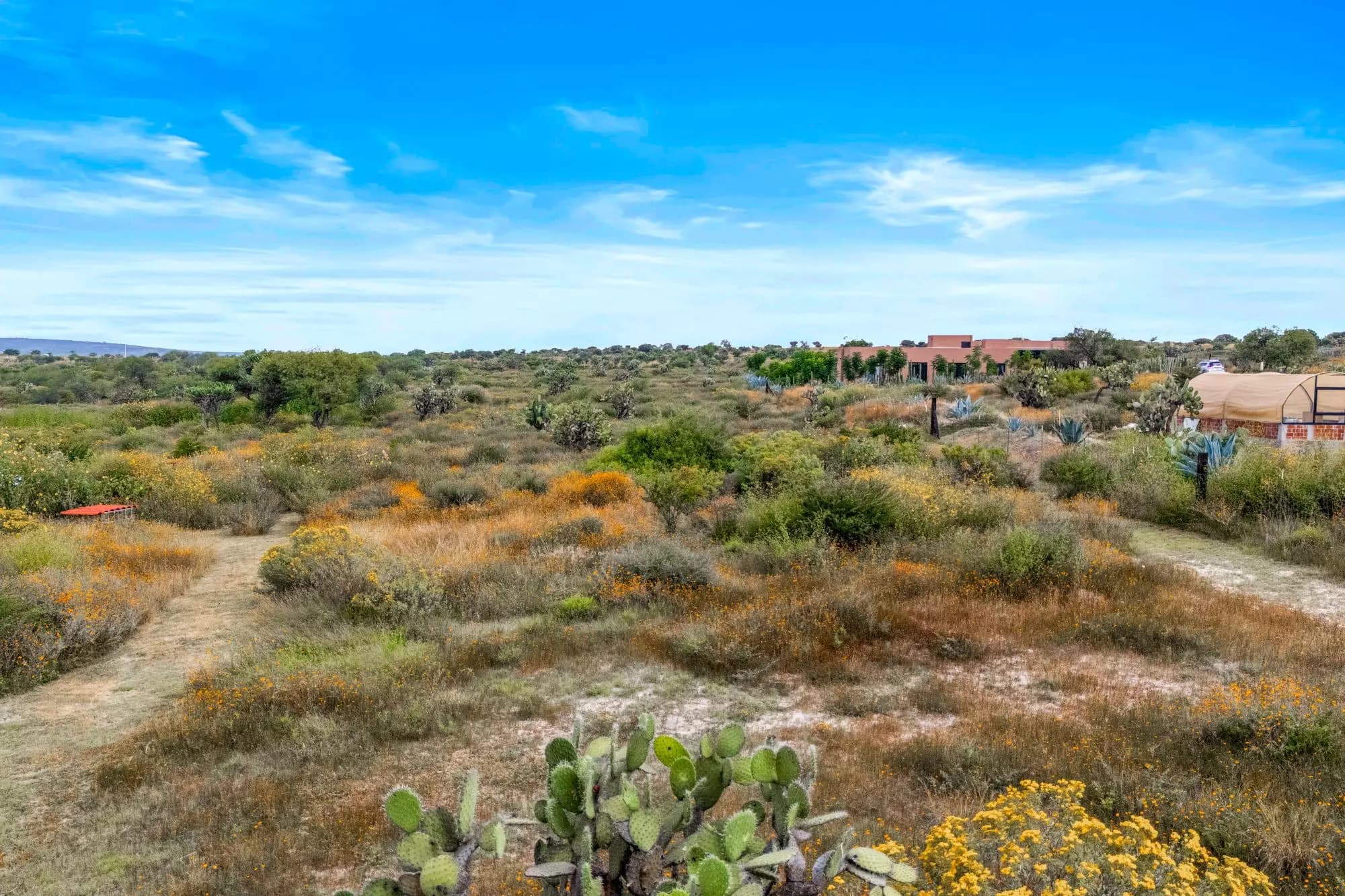 Hapori Eco Aldea Lot 2 — Capadero (San Isidro Capadero), San Miguel de Allende — photo 14 — expansive desert views, authentic mexican charm
