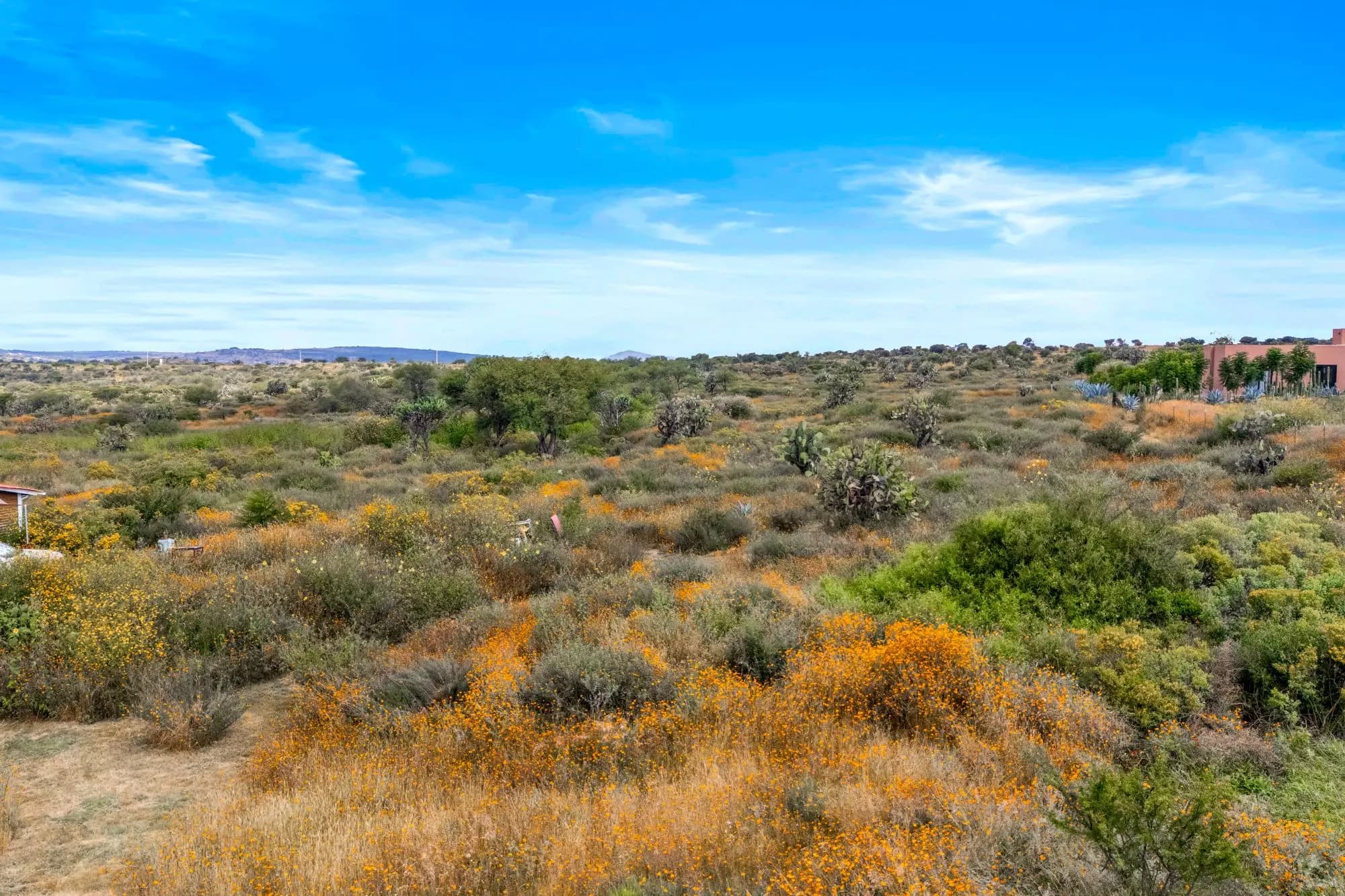 Hapori Eco Aldea Lot 2 — Capadero (San Isidro Capadero), San Miguel de Allende — photo 9 — wildflower-dotted landscape, serene mountain vistas