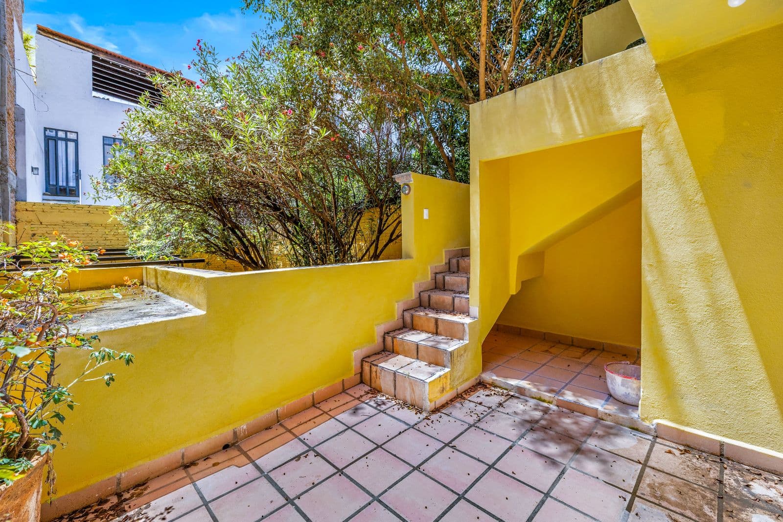 Great Renovation Project — San Antonio, San Miguel de Allende — photo 17 — vibrant courtyard, mature shade trees, architectural charm