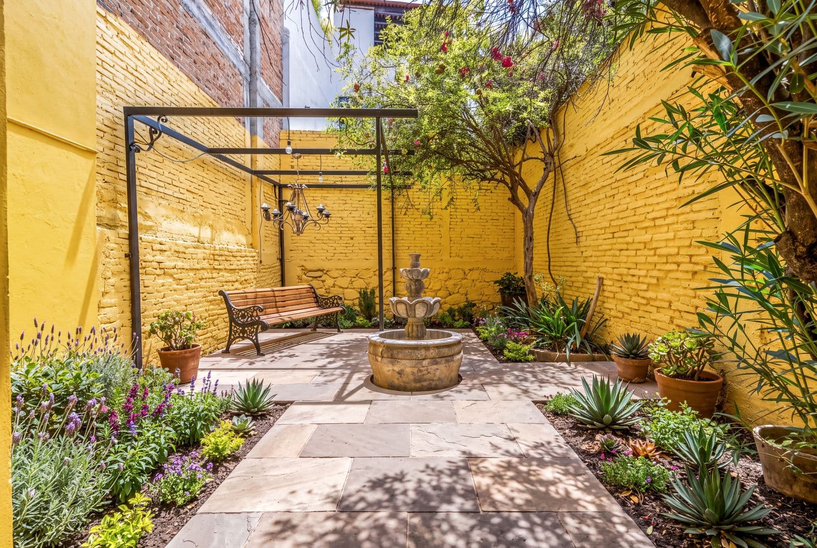 Great Renovation Project — San Antonio, San Miguel de Allende — photo 10 — serene courtyard oasis, golden light